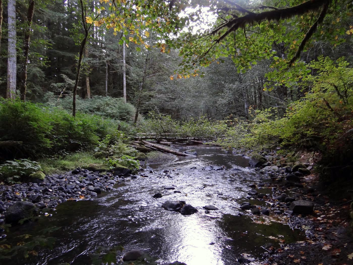 Nestucca River 9-19-2013 JBatchelor
